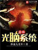 《超级光脑系统》
