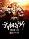 《武极宗师》