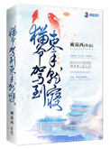 《猫爷驾到束手就寝》