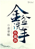 金盆洗手作羹汤小说