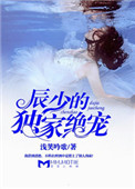 《辰少的独家绝宠》