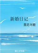 新婚日记（作者：居尼尔斯）小说