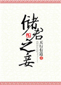 《储君之妾》