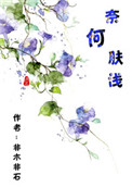 奈何肤浅小说