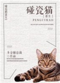 巨胃猫总在碰瓷[重生]图片
