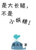 是大长腿不是小妖精小说
