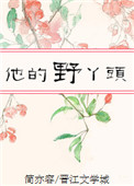 《他的野丫头》