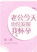 老公今天也没发现我怀孕小说