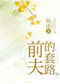 前夫的套路小说