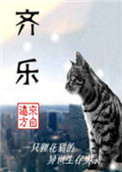 《齐乐》