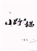 小野猫小说