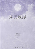 浮光掠影小说