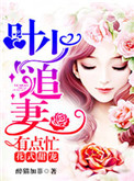 《花式甜宠：叶少追妻有点忙》