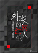 外长的网红人生txt电子书下载