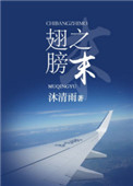 《翅膀之末》