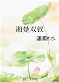 湘楚双钗图片