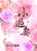 《小逃妻》