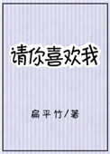 请你喜欢我小说