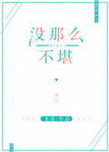 没那么不堪小说