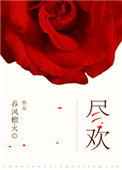 尽欢小说