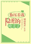你压着我隐形的叶子了小说