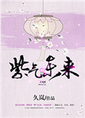 《紫气冬来》小说