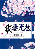 《我妻无盐》