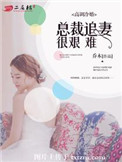 《高调冷婚，总裁追妻很艰难》