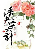 《诱夫三十六计》