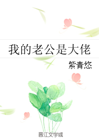 我的老公是大佬
