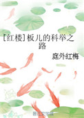 《[红楼]板儿的科举之路》