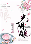 《光阴酿》