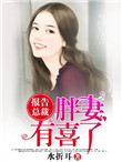 《报告总裁，胖妻有喜了》