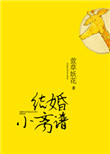 结婚小离谱小说