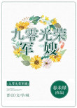 《九零光荣军嫂》
