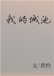 我的城池小说