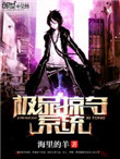 《极品掠夺系统》