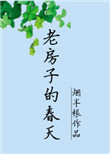 老房子的春天小说