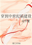 《穿到中世纪搞建设》