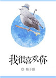 《我很喜欢你》小说