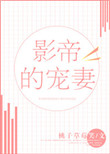 影帝的宠妻小说