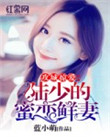 攻城掠爱：陆少的蜜恋鲜妻小说