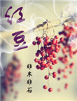 红豆小说