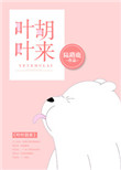 叶叶胡来小说