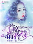 《隐婚99天：首席，请矜持》