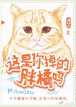 《这是你掉的胖橘吗》