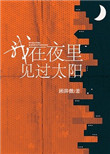 我在夜里见过太阳小说