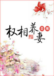 《权相养妻日常》
