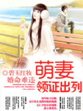 《婚命难违：萌妻，领证出列》