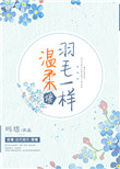 温柔像羽毛一样小说